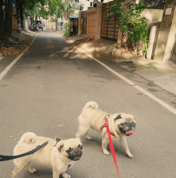 screen-shot-2016-10-31-at-4-34-18-pm