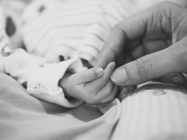 aditya-romansa-117344 (1).jpg