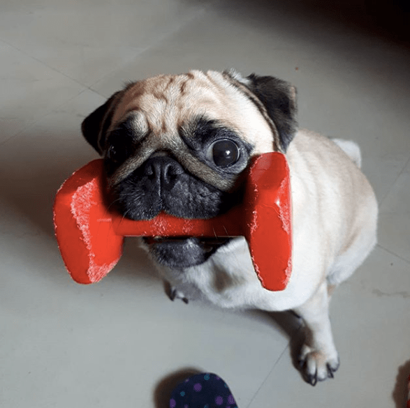 Screen Shot 2018-07-09 at 1.35.21 PM.png