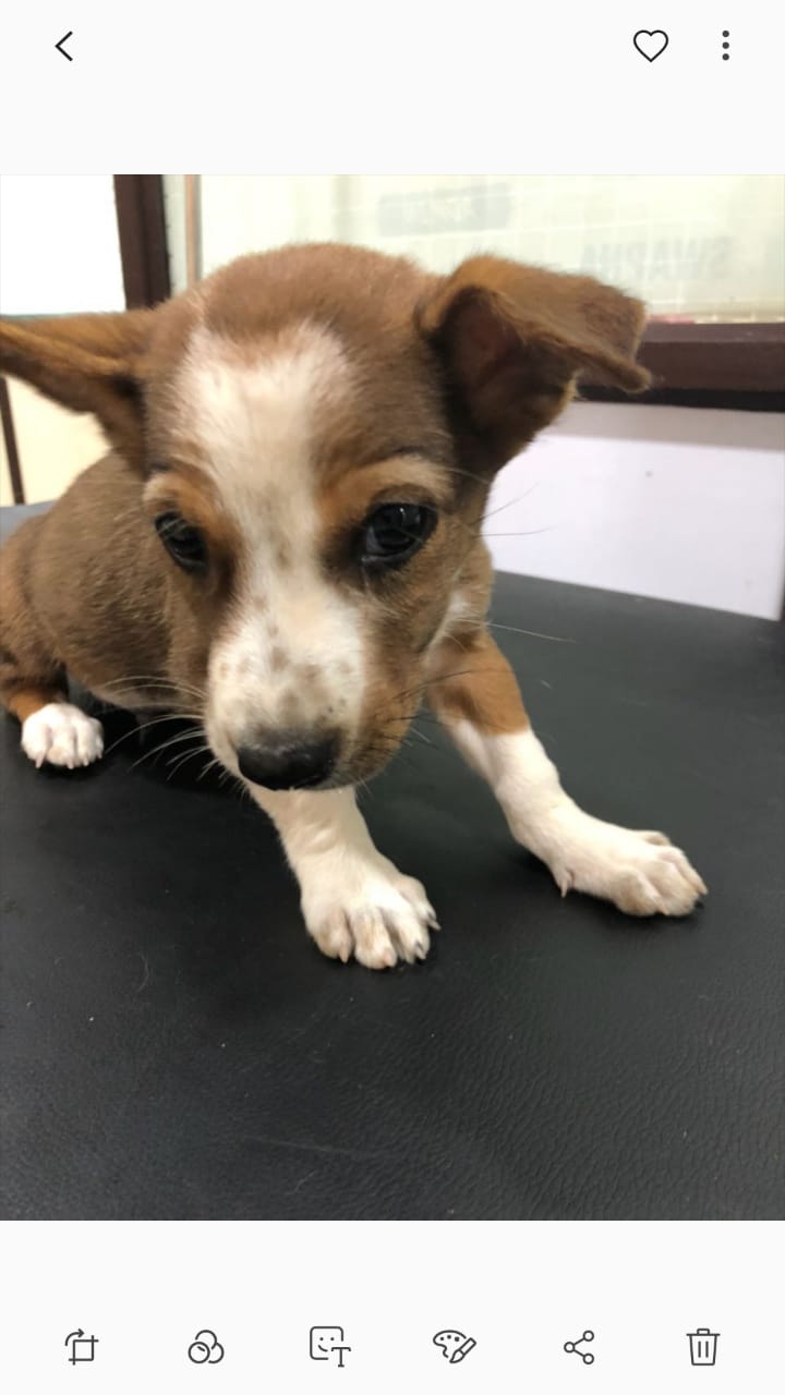 WhatsApp Image 2018-07-09 at 1.43.03 PM